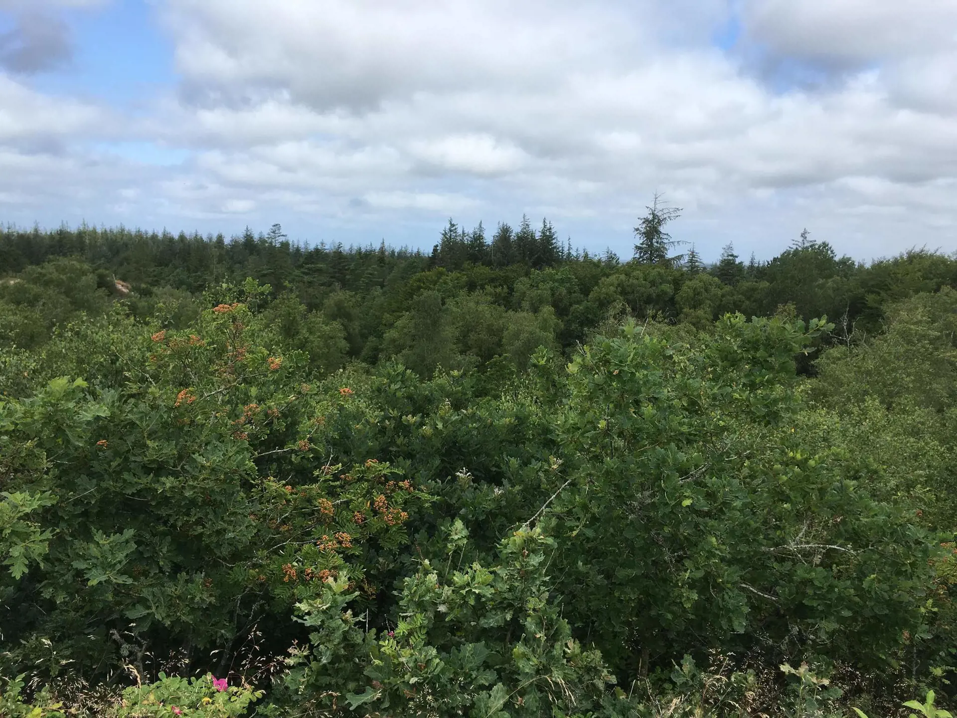 Bild 38 von 42