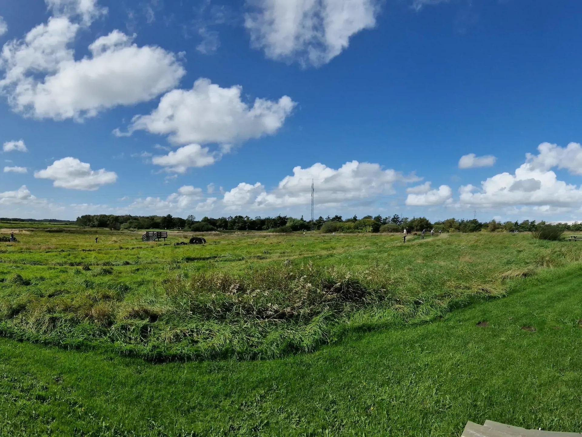 Bild 39 von 42