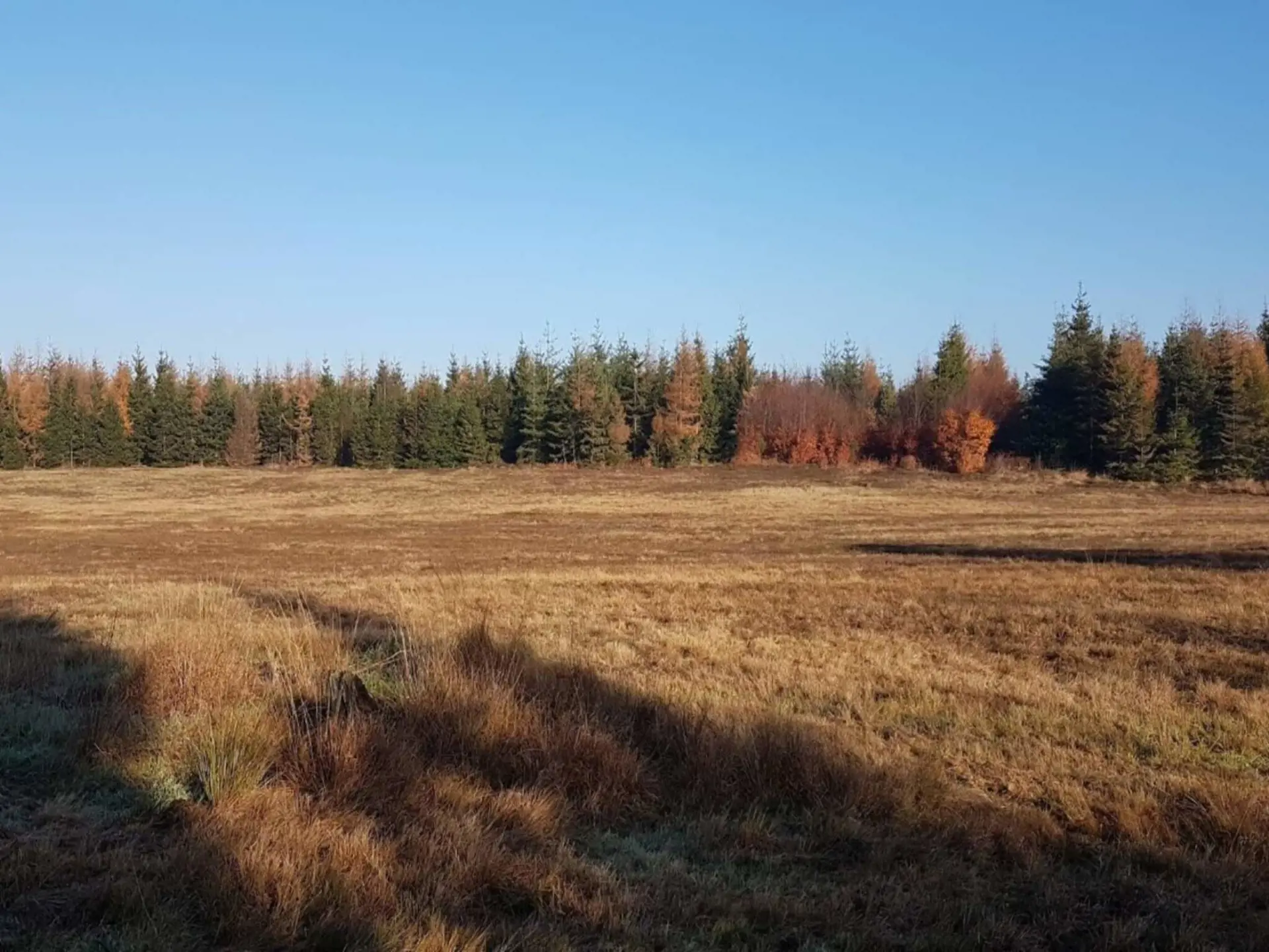 Bild 35 von 38