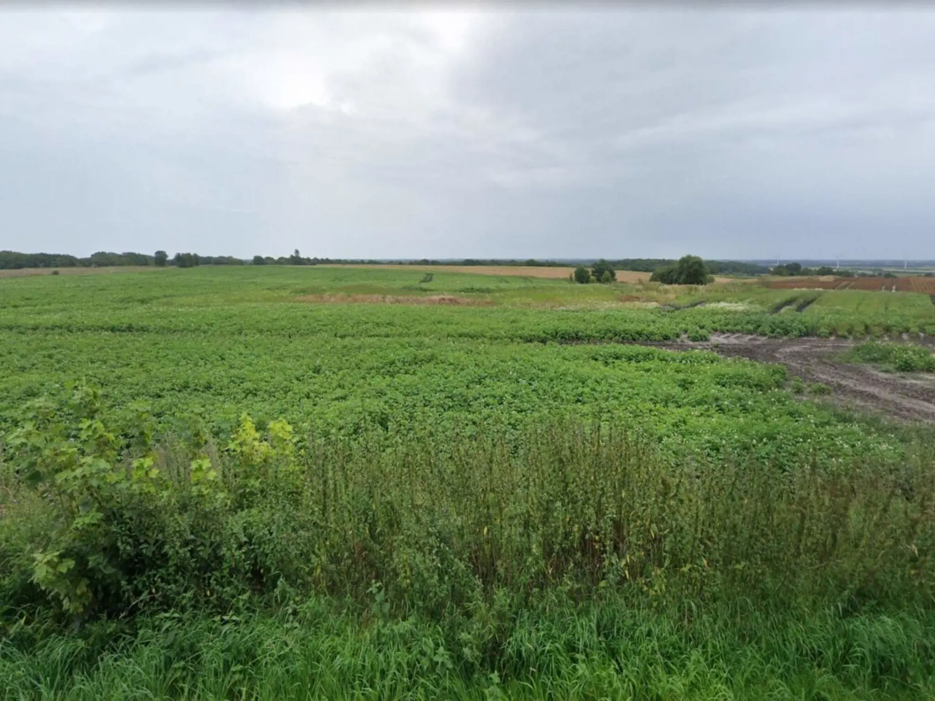Bild 37 von 38
