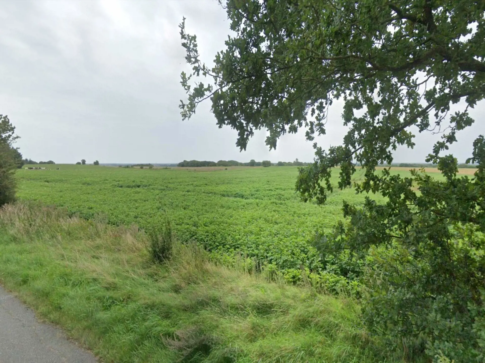 Bild 38 von 38