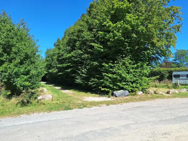 Bild 35 von 36