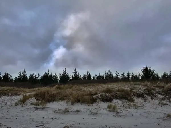 Bild 35 von 35