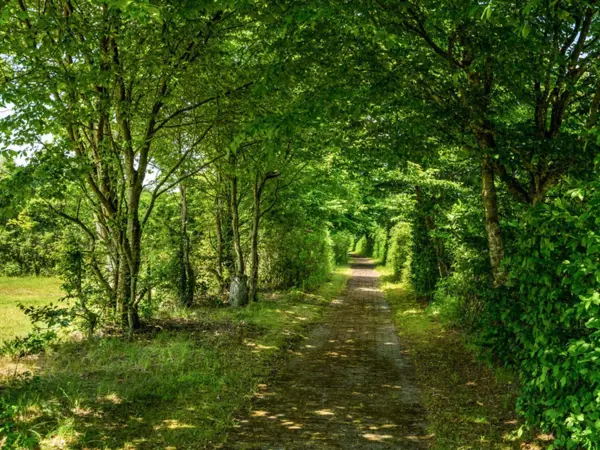 Bild 9 von 37