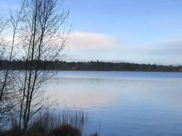 Bild 15 von 37