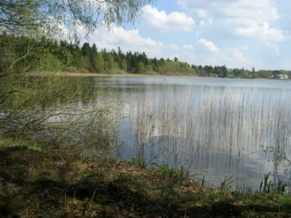 Bild 18 von 37