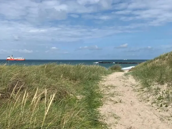 Bild 5 von 47
