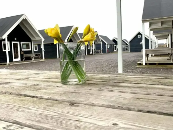 Bild 8 von 47
