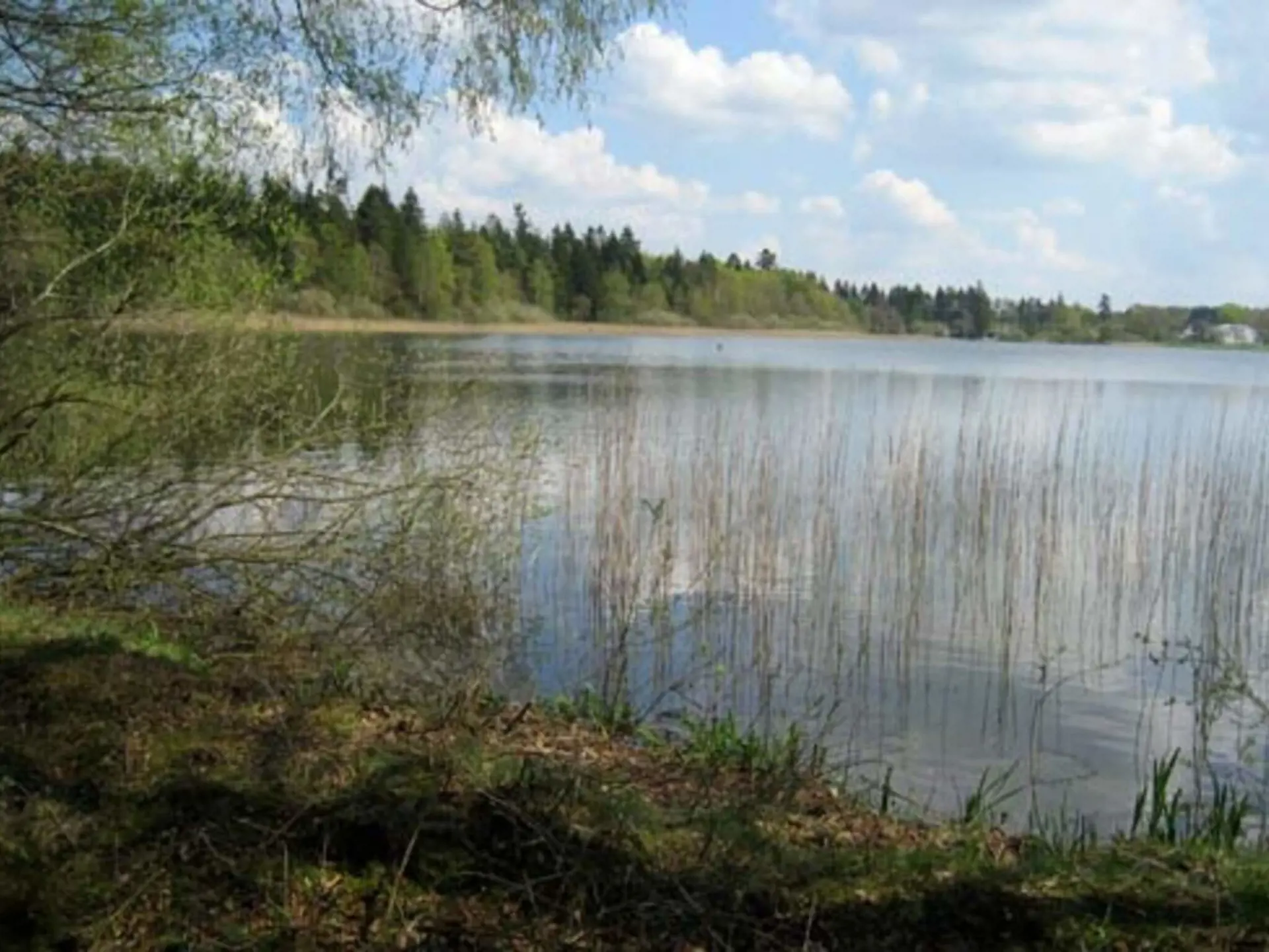 Bild 19 von 37