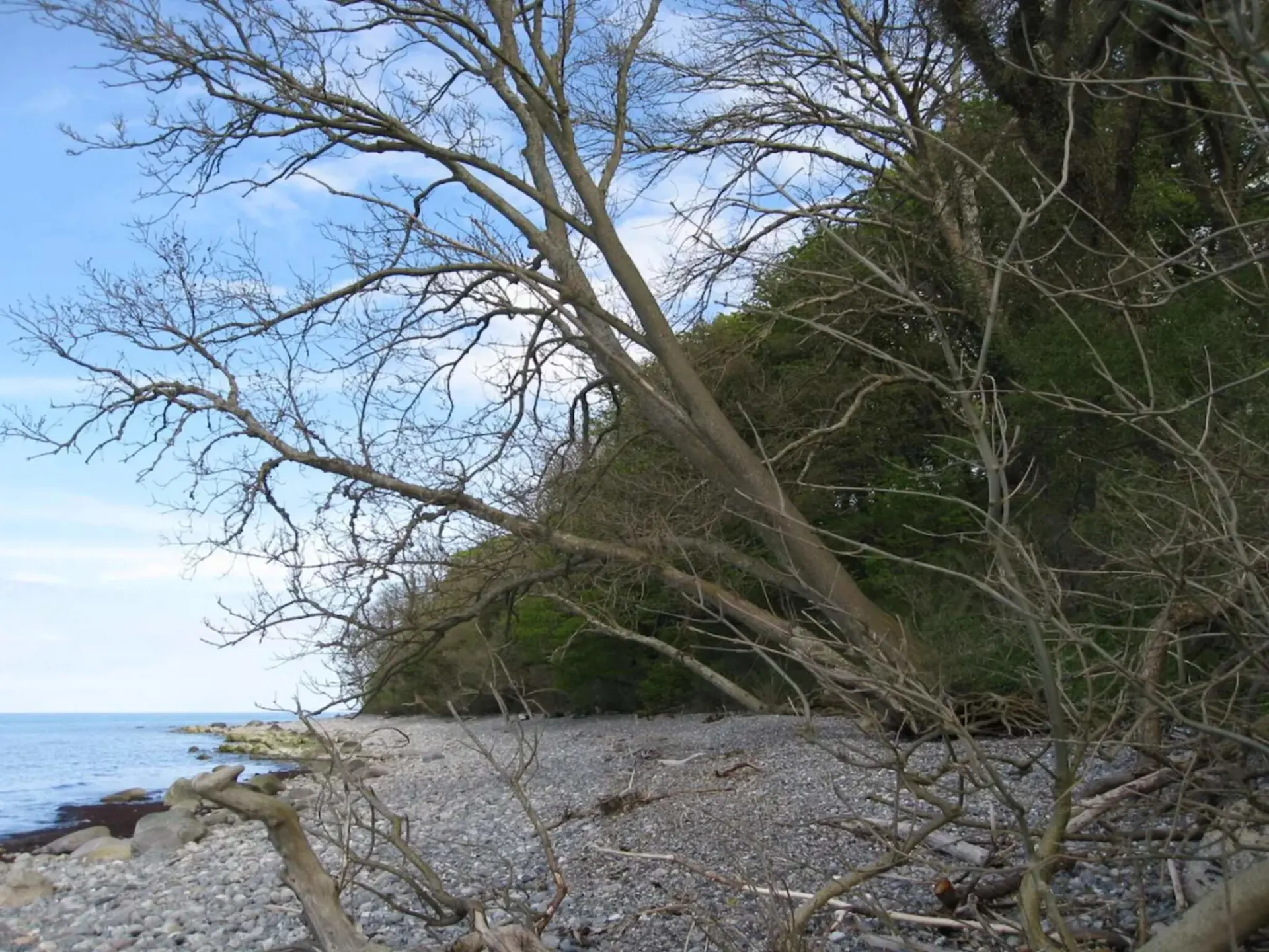 Bild 6 von 33