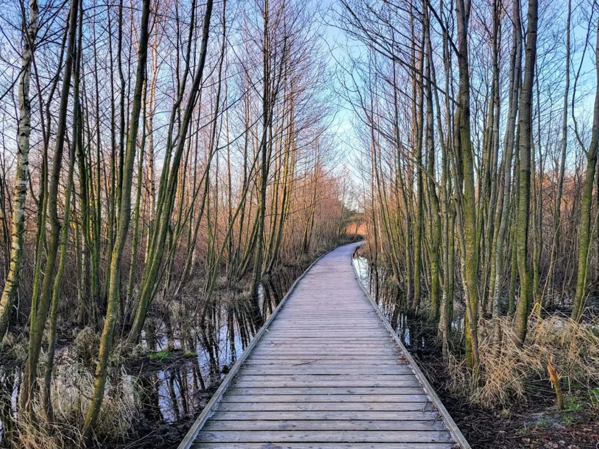 Bild 28 von 28