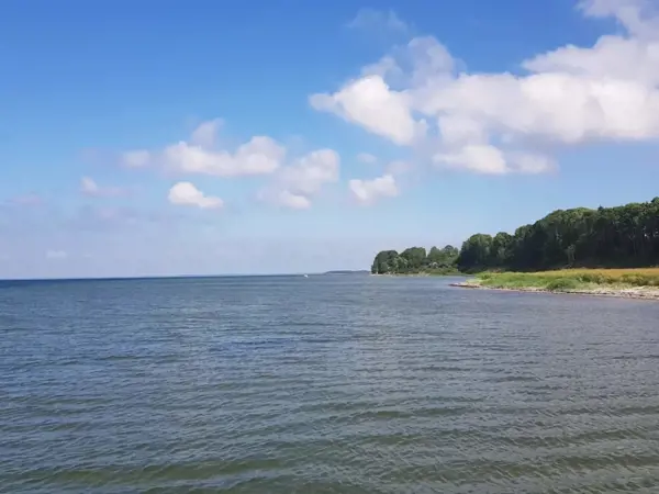 Bild 25 von 41