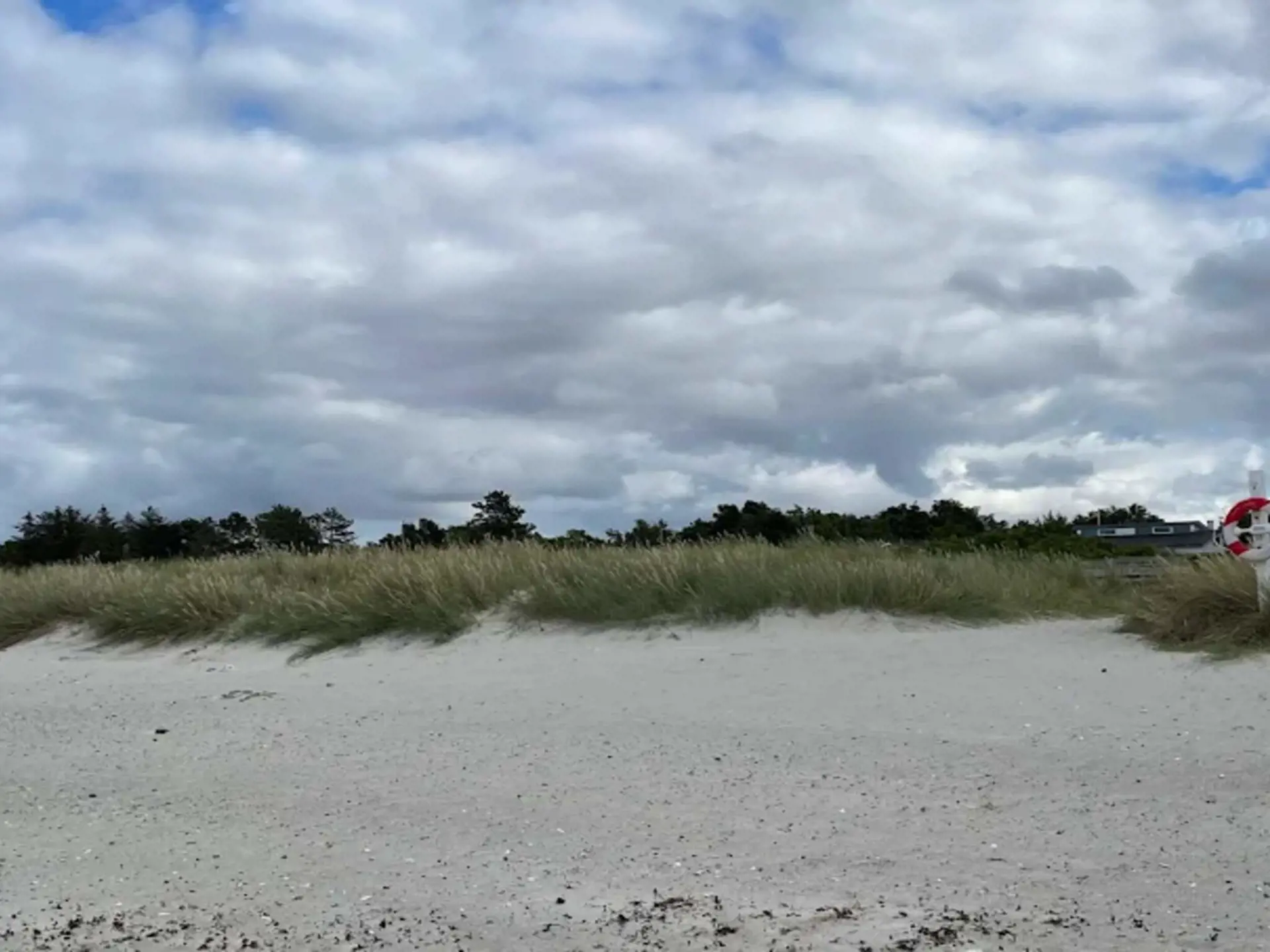 Bild 39 von 39