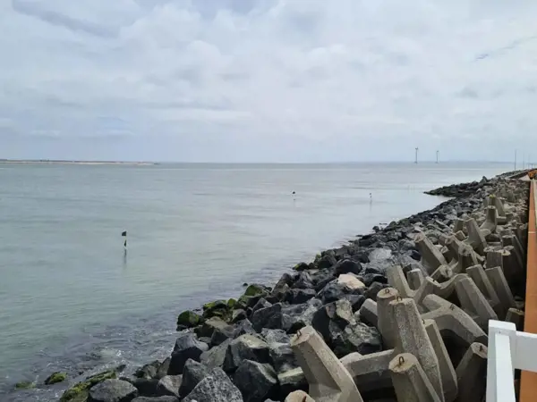 Bild 11 von 40