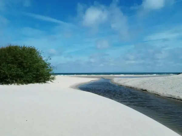 Bild 18 von 36