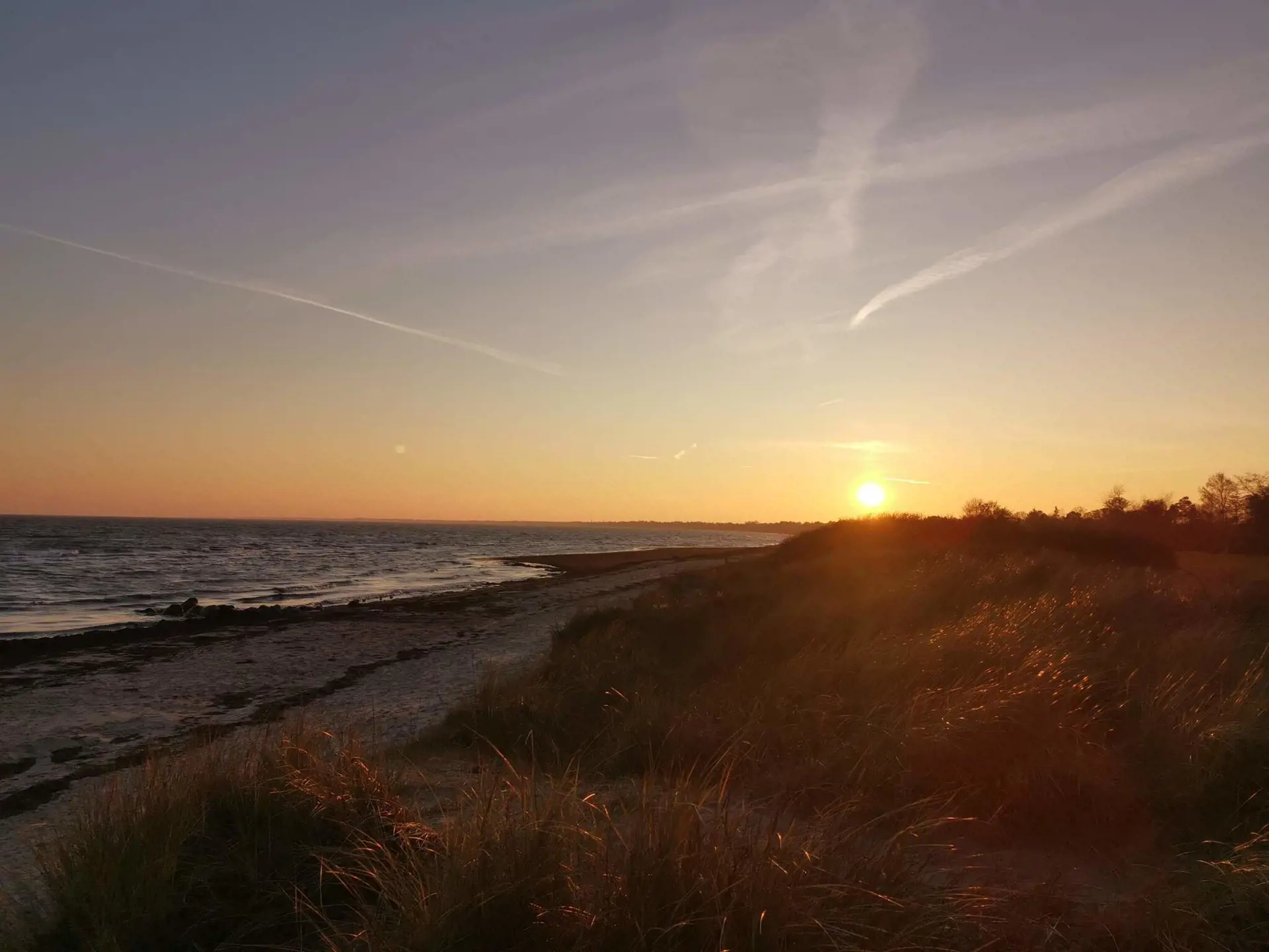 Bild 39 von 40