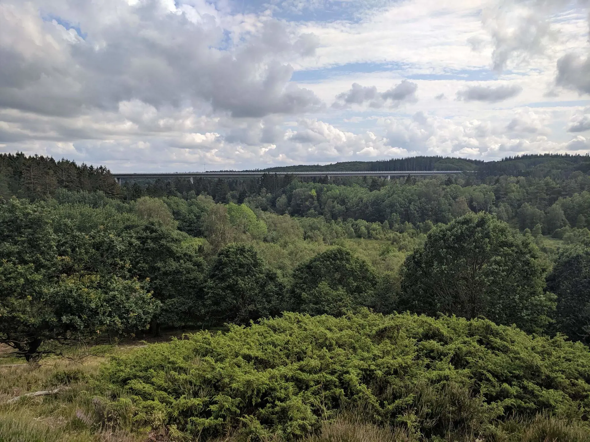 Bild 29 von 38