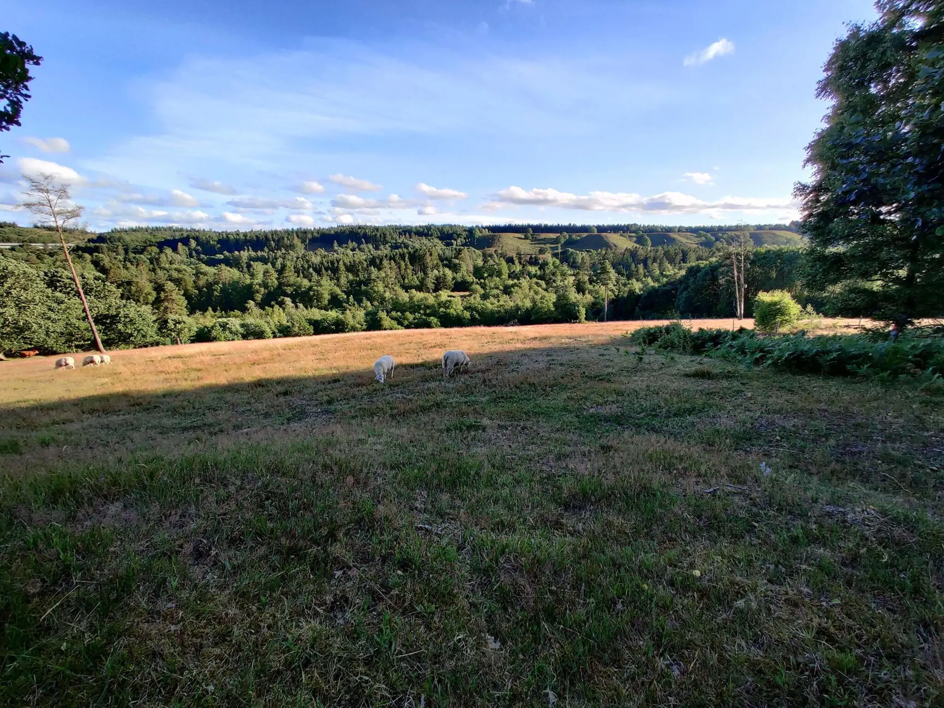 Bild 36 von 38