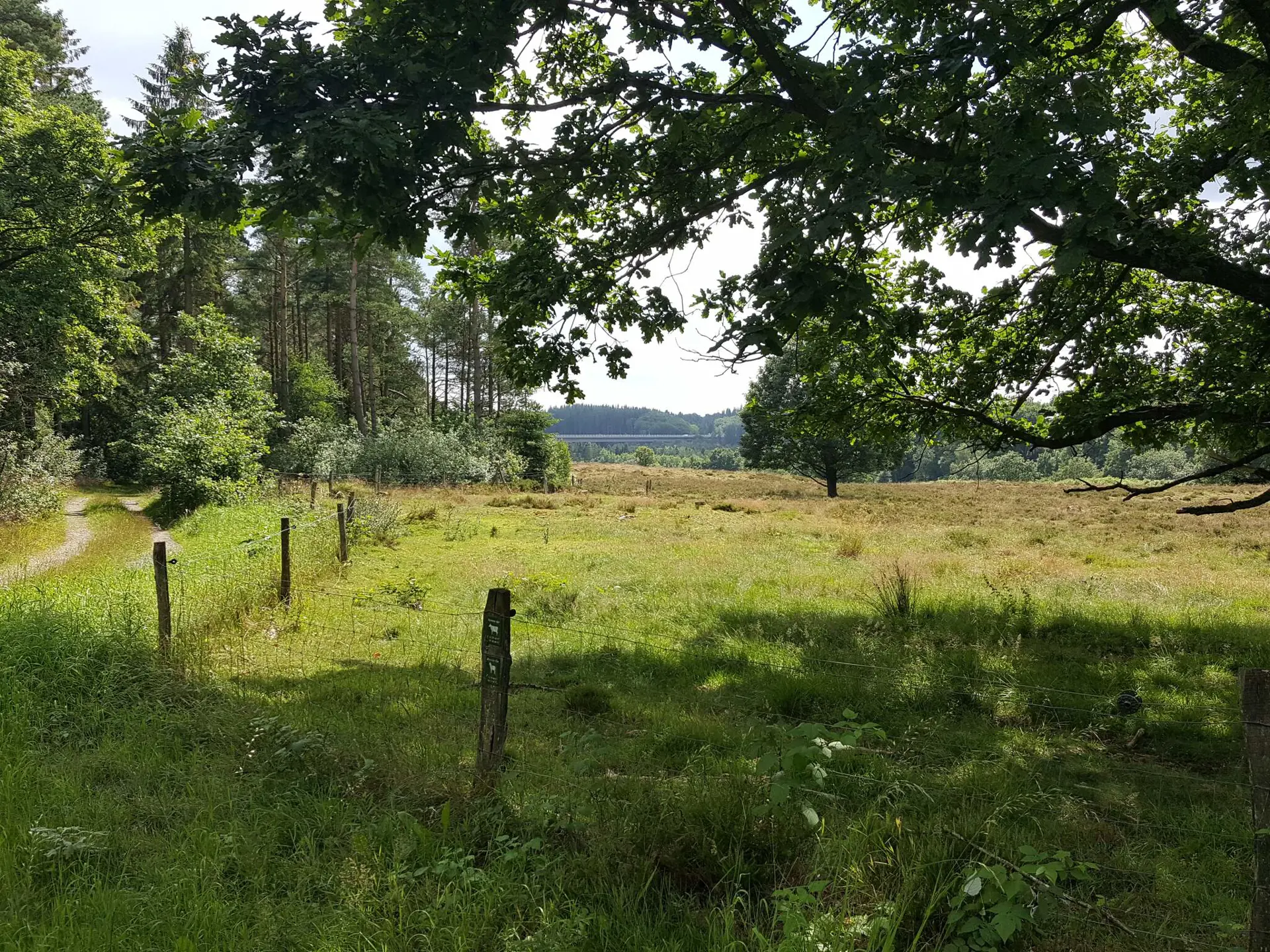 Bild 37 von 38