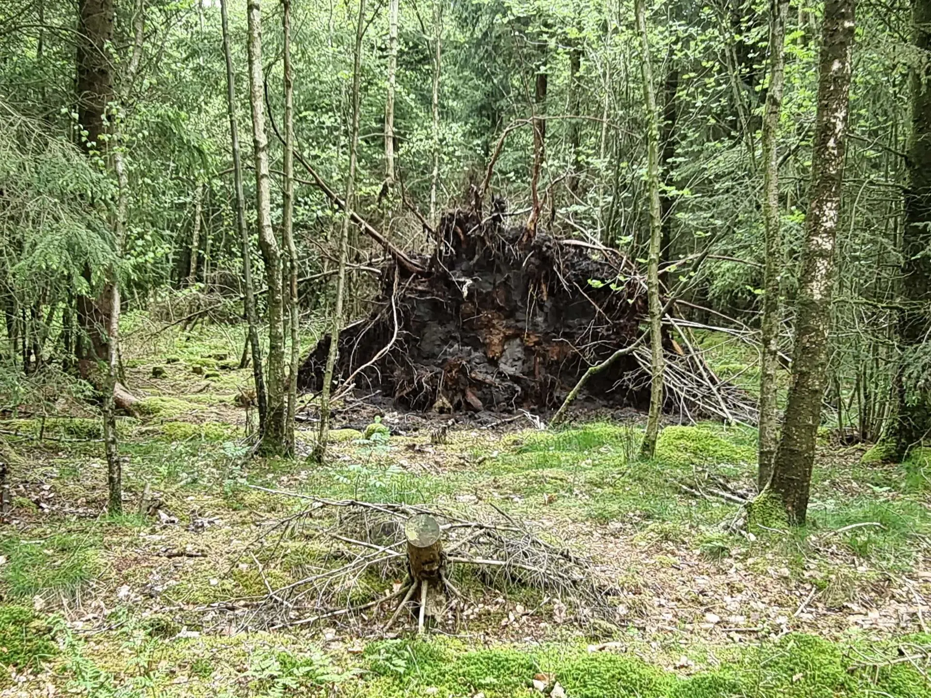 Bild 38 von 38