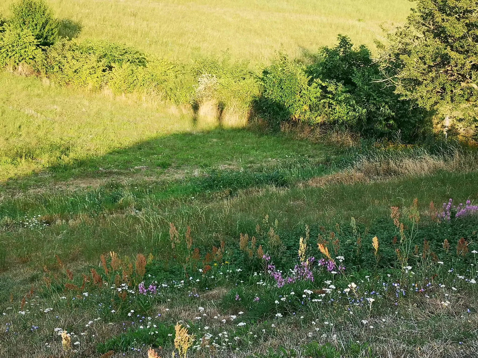 Bild 36 von 37