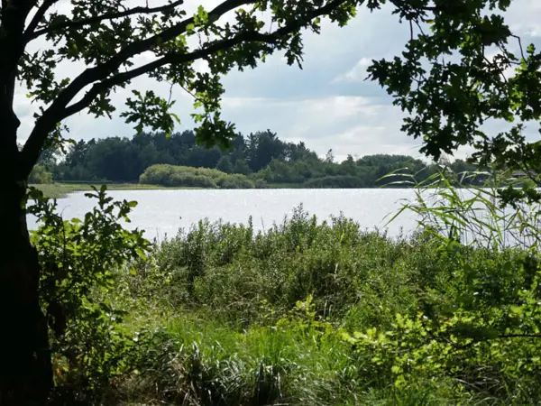 Bild 10 von 33