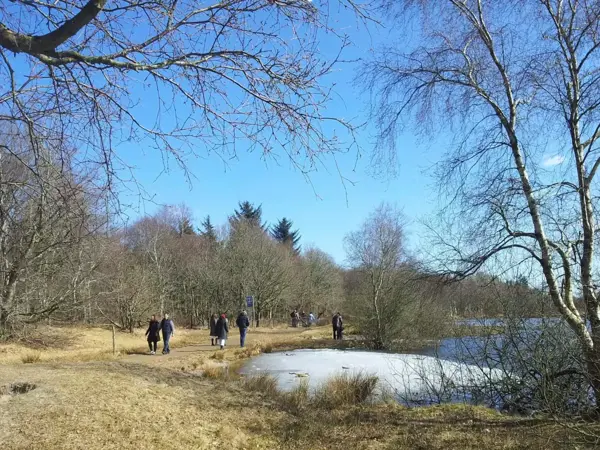 Bild 11 von 33