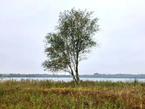 Bild 12 von 33