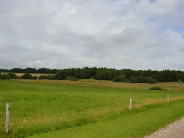 Bild 33 von 33