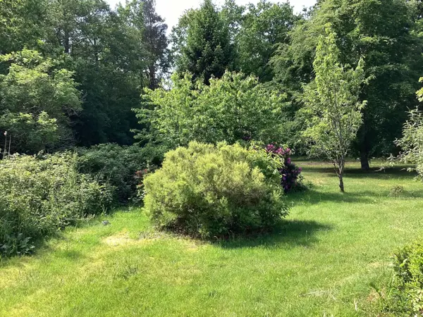 Bild 5 von 32