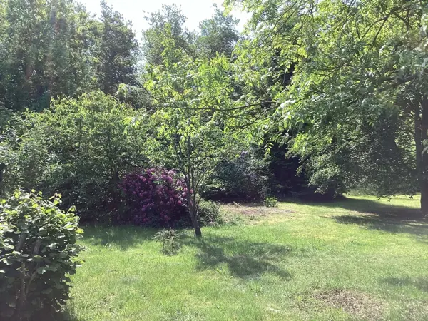 Bild 6 von 32