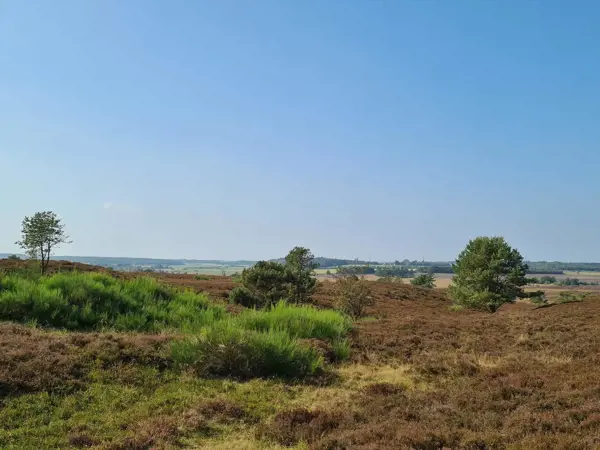 Bild 37 von 40
