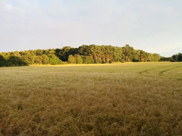 Bild 38 von 40