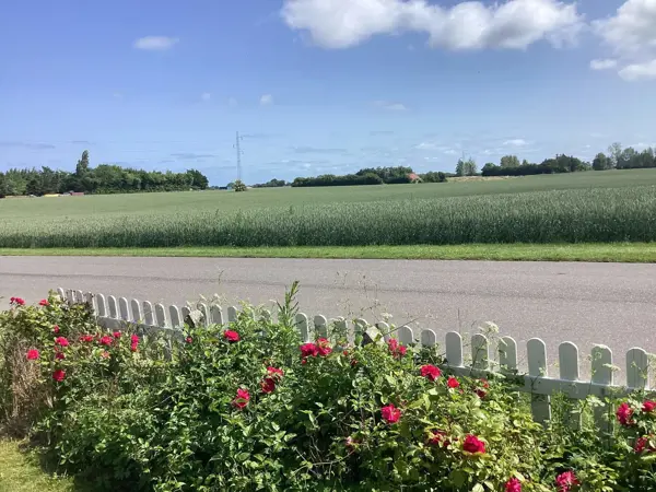 Bild 9 von 29