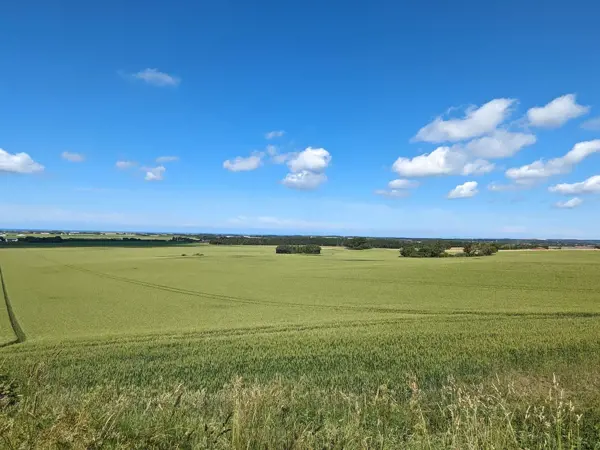 Bild 36 von 36
