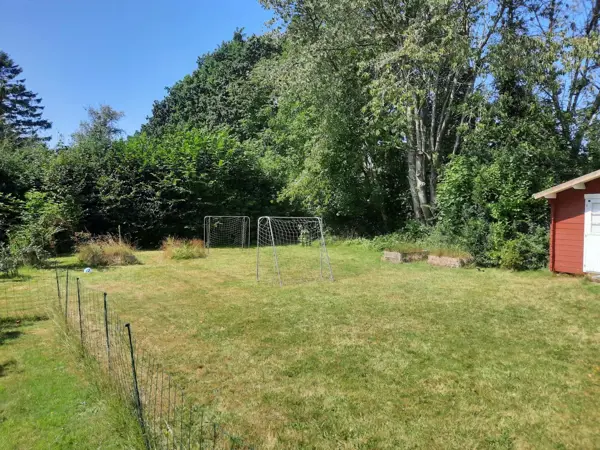Bild 14 von 14