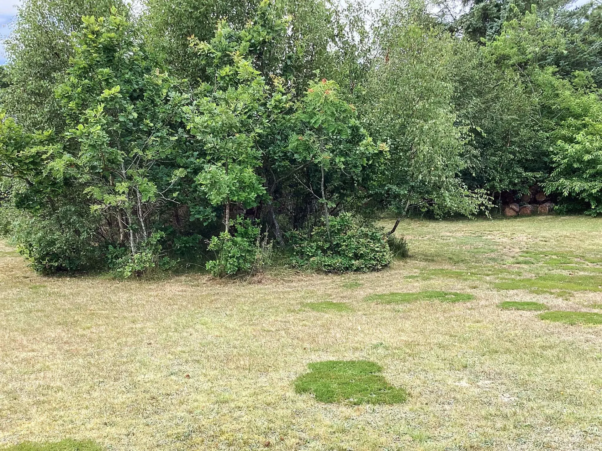 Bild 18 von 24