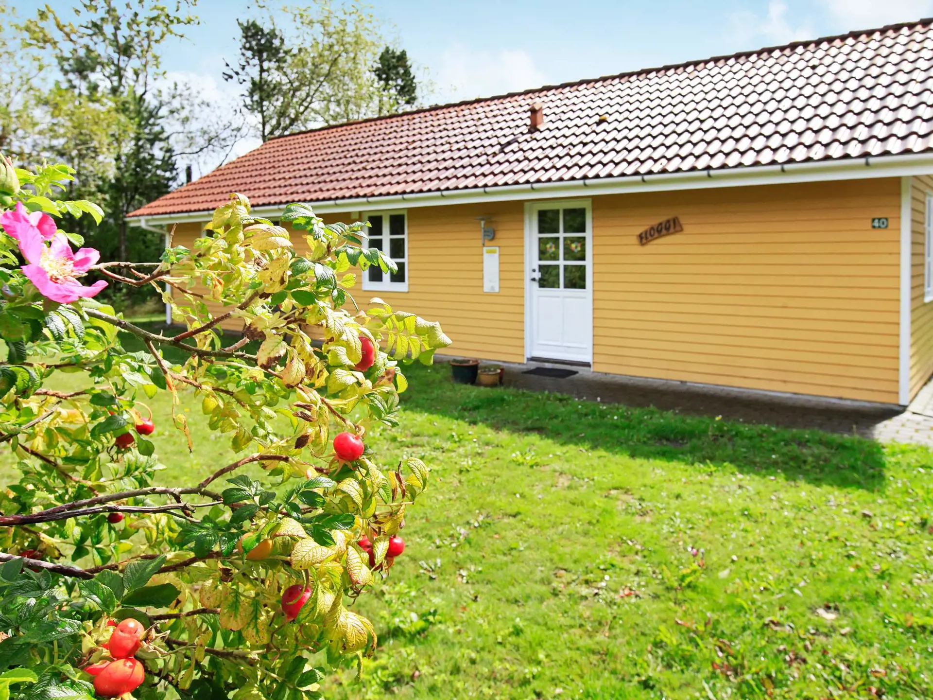 Bild 5 von 23