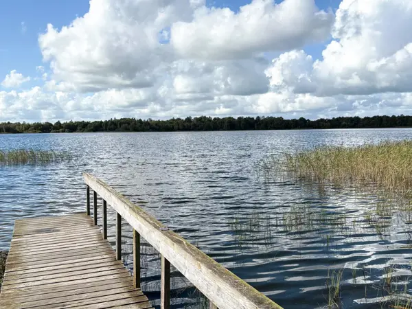 Ferienhaus 64586 in Søknudevej 26, Billund | Bild 21 von 22