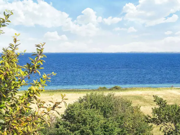 Ferienhaus 64725 in Knoldebjerg 14, Insel Sejerø | Bild 30 von 33
