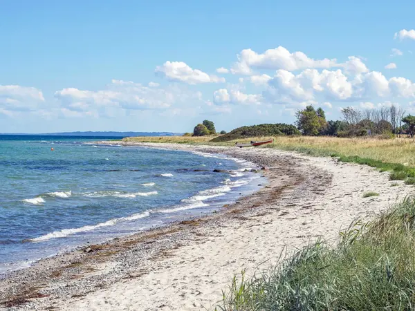 Ferienhaus 64725 in Knoldebjerg 14, Insel Sejerø | Bild 33 von 33