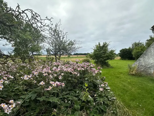 Bild 2 von 7