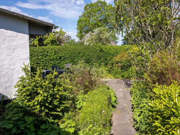 Bild 36 von 37