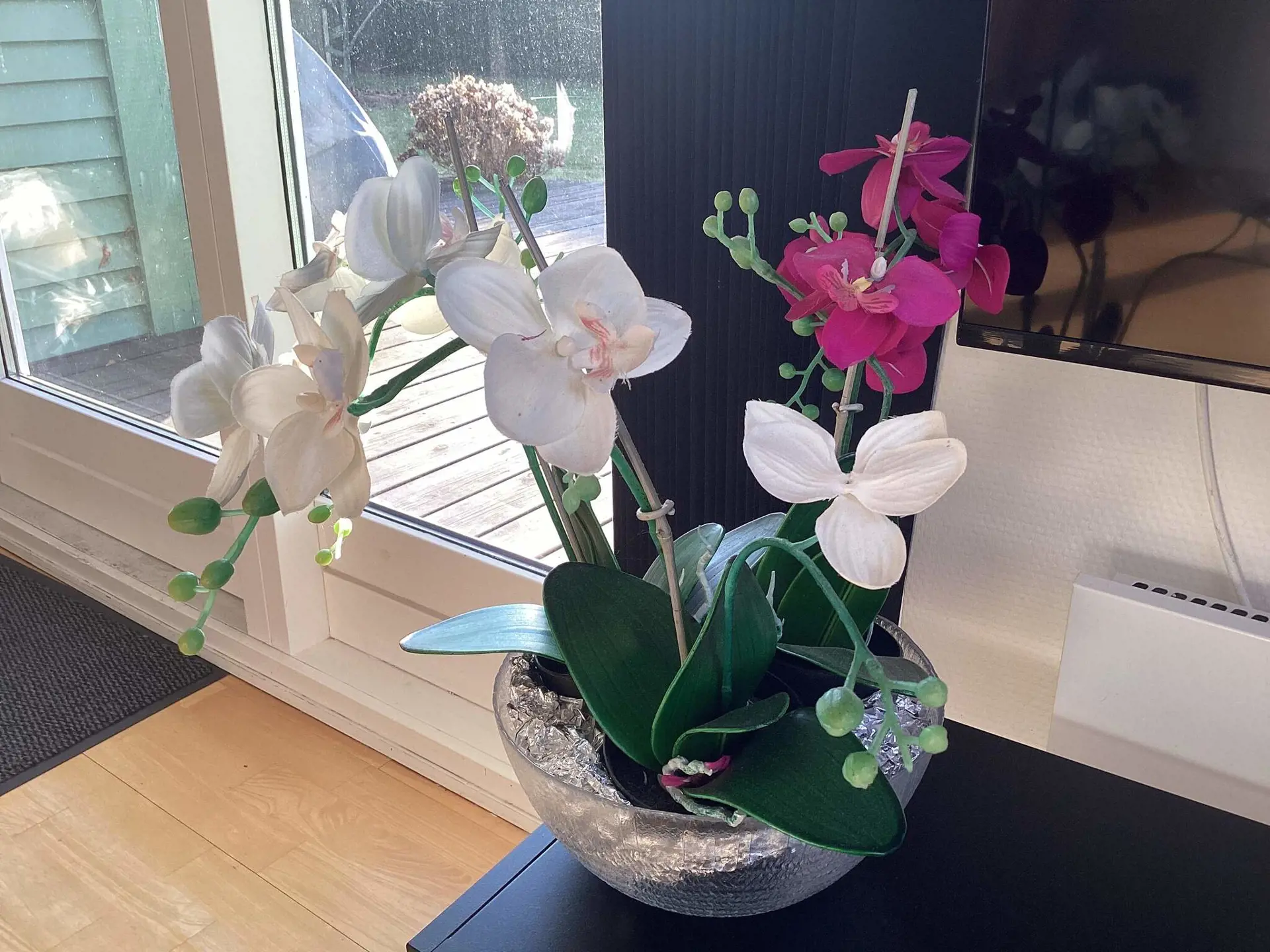 Bild 19 von 19