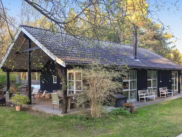 Ferienhaus 65360 in Hald Strand / Nordseeland