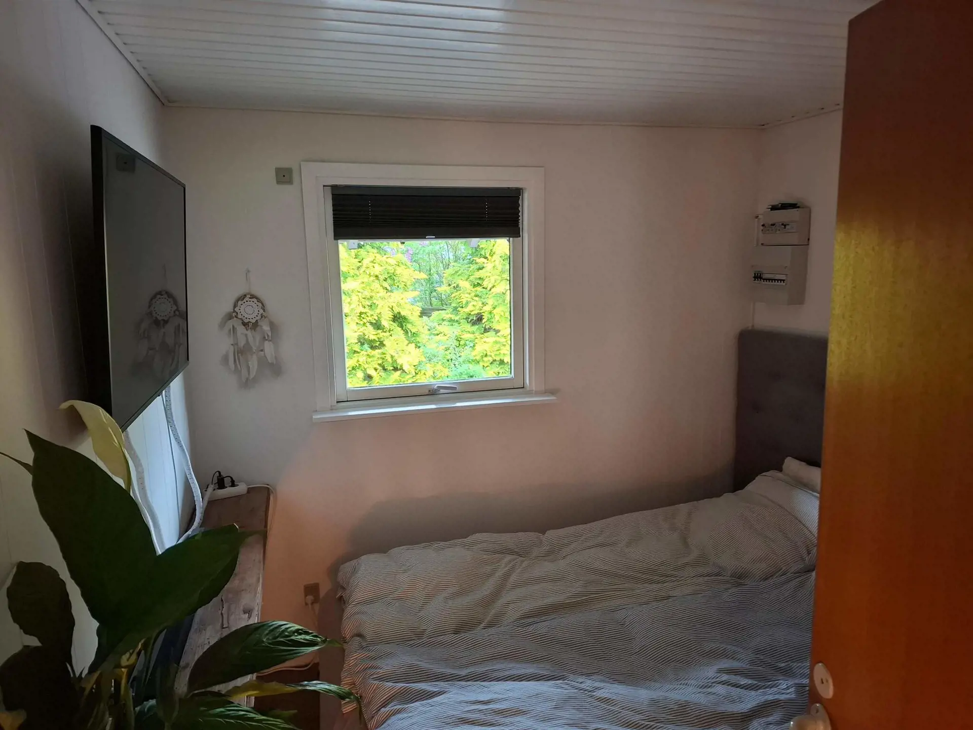 Bild 11 von 15