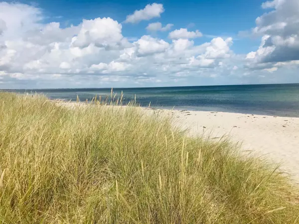 Bild 9 von 31