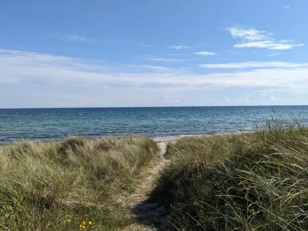 Bild 14 von 31