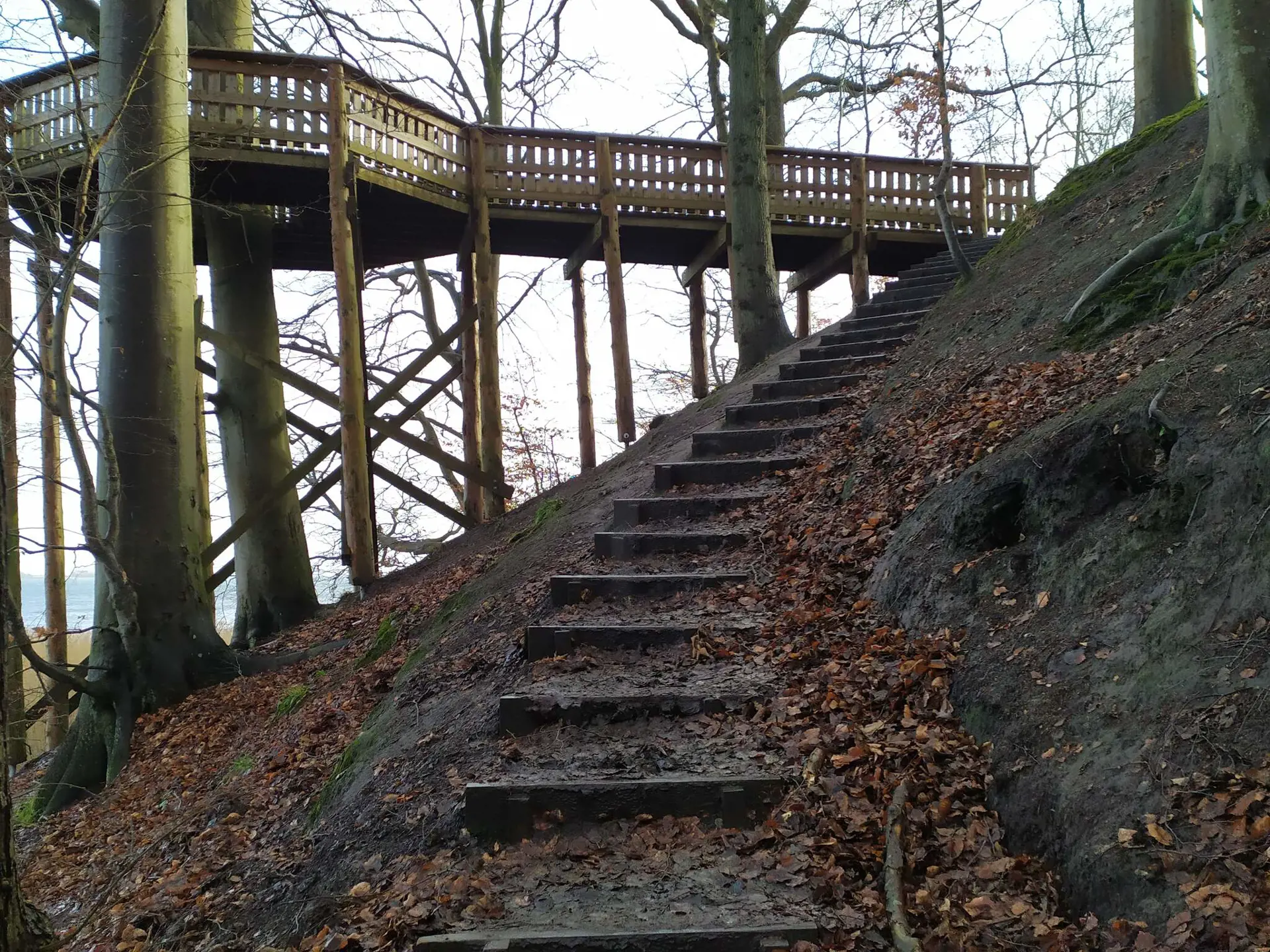 Bild 31 von 33