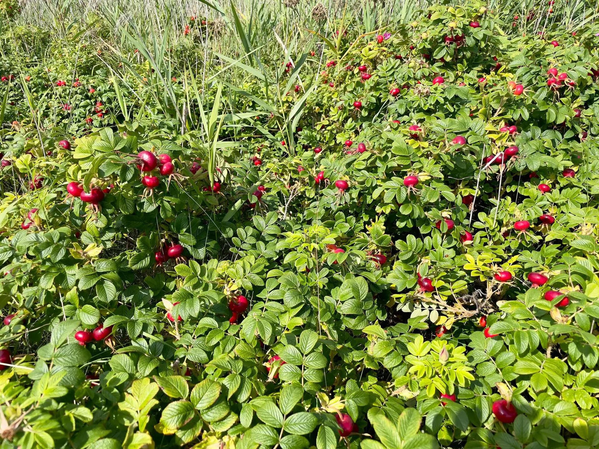Bild 32 von 33